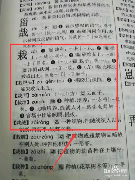 栽组词，栽组词组？