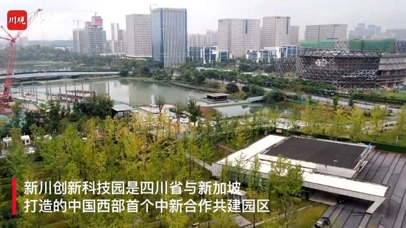 新川科技园哪些楼盘好？2020年新川科技园房价会涨吗？