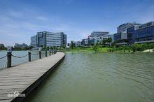 张江高科技园周边景点有哪些地方，张江高科技园面积4500？