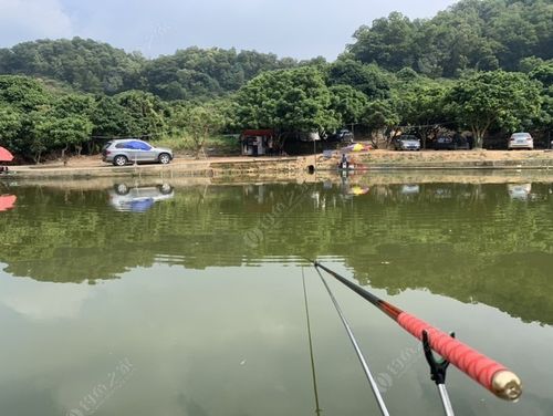 大山科技园钓鱼地点有哪些，大山科技园钓鱼地点有哪些景点！